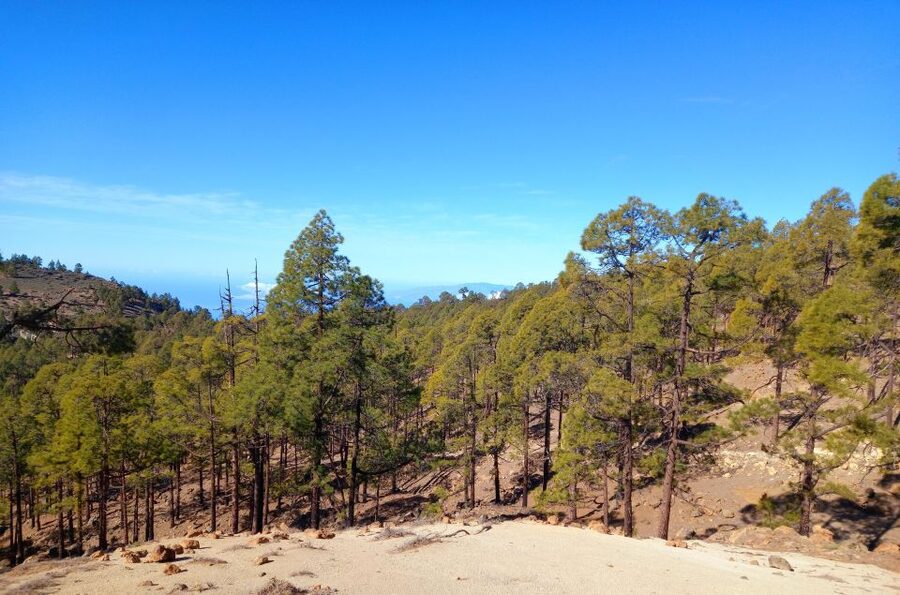 The Wow Factor Walk - Descending the Mountain Trail, High Peaks All Around