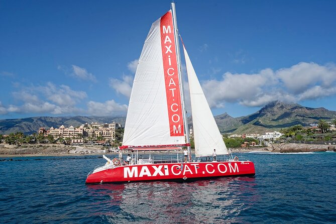Tour with Whale and Dolphin Watching plus food included - Key highlights worth planning around