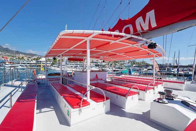 Tour with Whale and Dolphin Watching plus food included - What you are actually looking for: dolphins, pilot whales, and birds