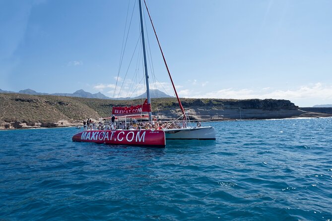 Tour with Whale and Dolphin Watching plus food included - The Costa Adeje stretch: guided wildlife time plus your included lunch