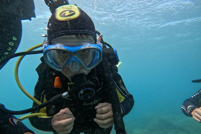 Try Dive in Abades Bay with a private instructor - The rules after your scuba session matter more than you think