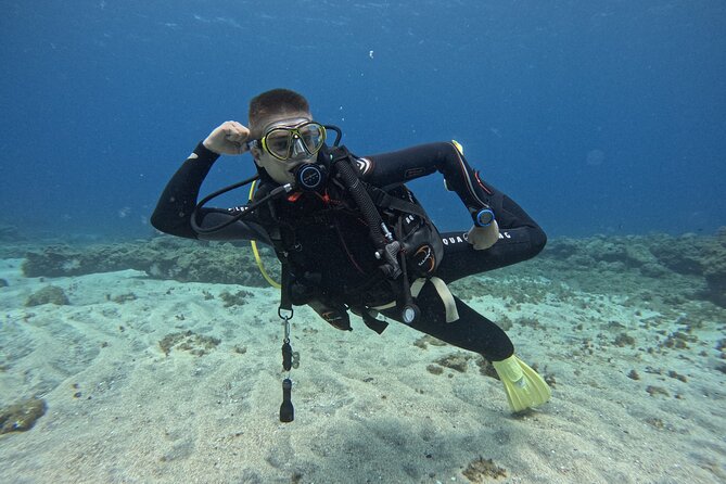Try Dive in Abades Bay with a private instructor - Non-divers: what to do while your group is in the water