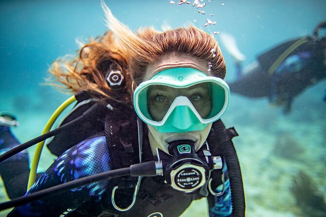 Try Dive - PADI Discover Scuba Diving in Tenerife - Key highlights worth planning around