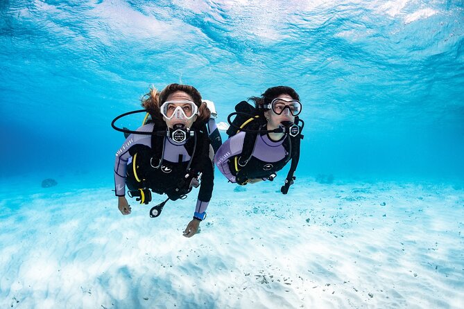 Try Dive - PADI Discover Scuba Diving in Tenerife - Where You Meet in Radazul and Why the Location Helps