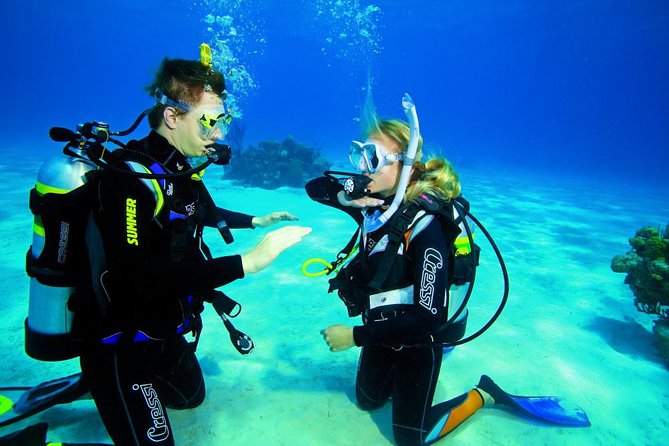 Try Dive - PADI Discover Scuba Diving in Tenerife - Underwater Time in a Small Group: Learning With Ongoing Guidance