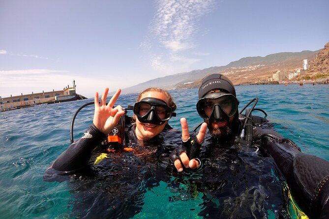 Try Dive - PADI Discover Scuba Diving in Tenerife - What Happens After You Arrive: Gear, Briefing, and Instructor Check-Ins