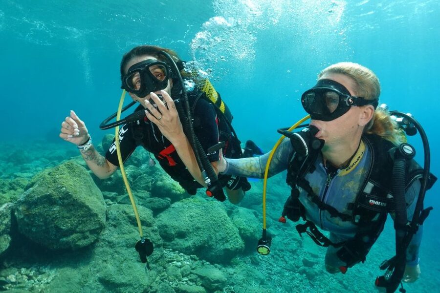 Try diving for the first time in turtle area - Getting your basics right: the movements your instructor will coach