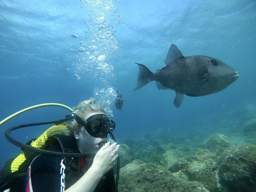 Try diving for the first time in turtle area - Café Magilu meeting point, and why the private group vibe matters
