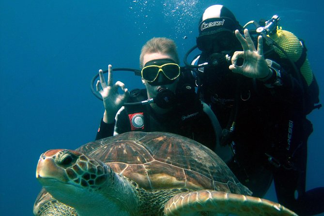 Try Scuba Diving in a turtle area (boat) - Key things I think are especially worth your attention