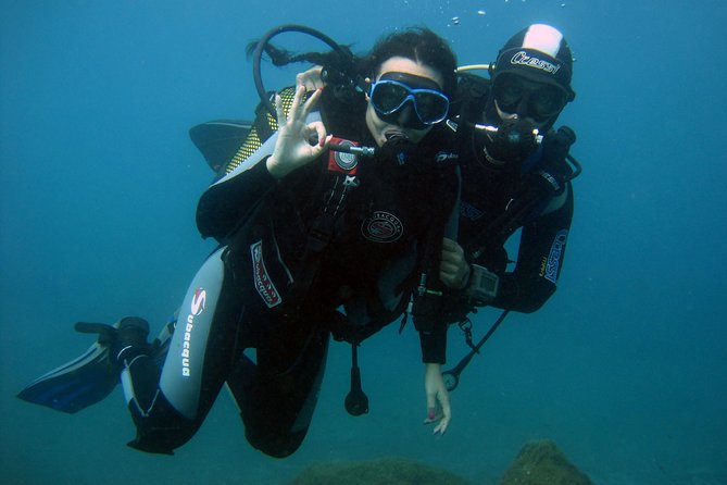 Try Scuba Diving in a turtle area (boat) - Costa Adeje turtle-area waters, why this setup fits first-timers