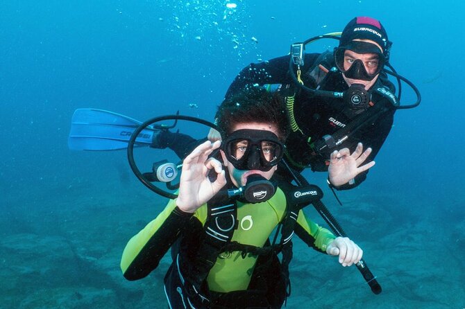 Try Scuba Diving in a turtle area (boat) - Stop 1: the shallow south-Tenerife underwater session with fish, octopus, rays