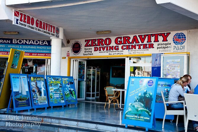 Try Scuba Diving in a turtle area (boat) - Boat time in the turtle-area plan, and why the small group matters