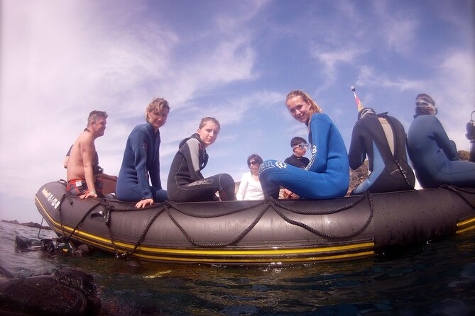 Try Scuba Diving in a turtle area (boat) - Meeting at Av. de Colón and what to expect before you hit the water