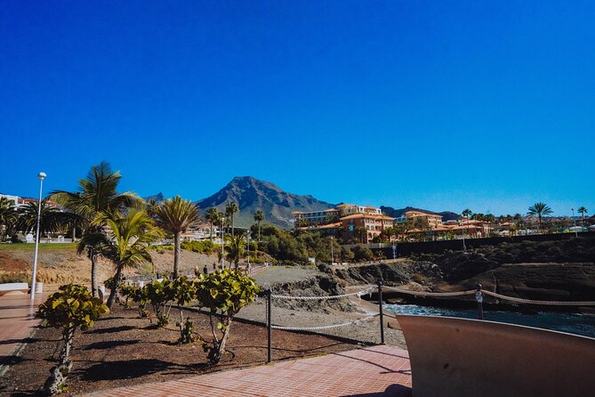 Tuk Tuk Tours in Costa Adeje - The Touristic Nightlife Loop: Bars, Restaurants, and Quick Hits