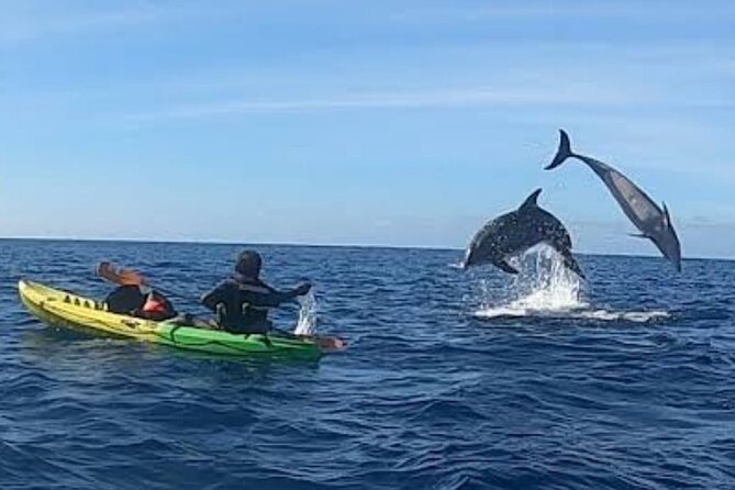 Turtle and Dolphin Watching Kayaking and Snorkeling Tour - Kayaking from Arenilla to Turtle Bay, the part that makes it worth it