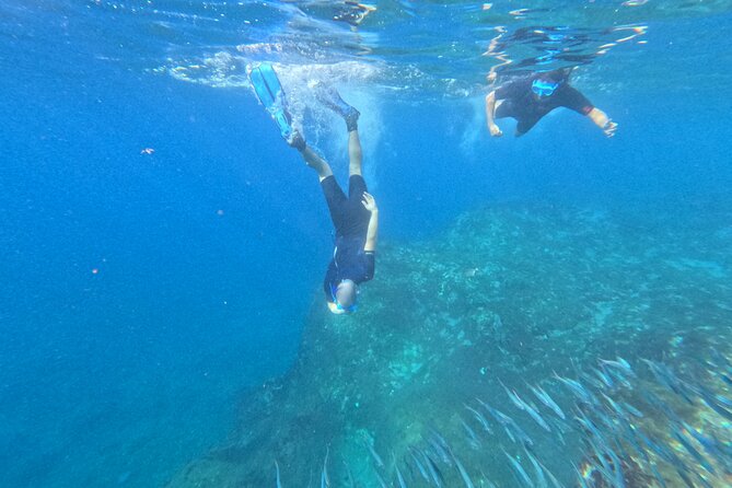 Turtle and Dolphin Watching Kayaking and Snorkeling Tour - How the private group feel changes the day