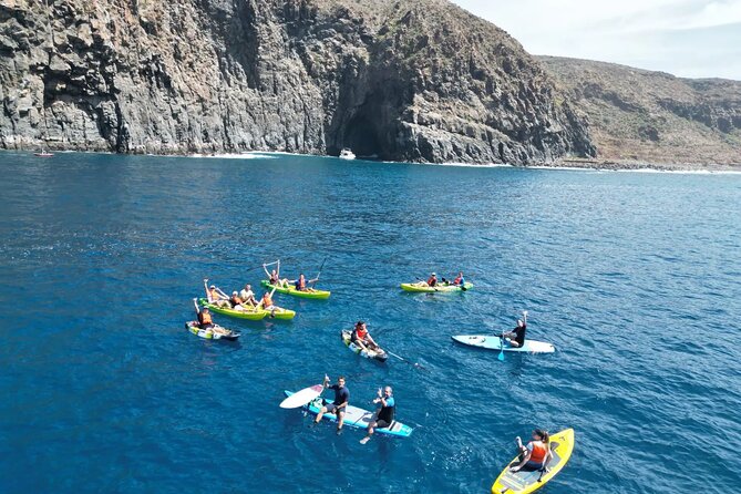 Turtle and Dolphin Watching Kayaking and Snorkeling Tour - Price and value: $42.14 for 2.5 hours that includes gear and guidance
