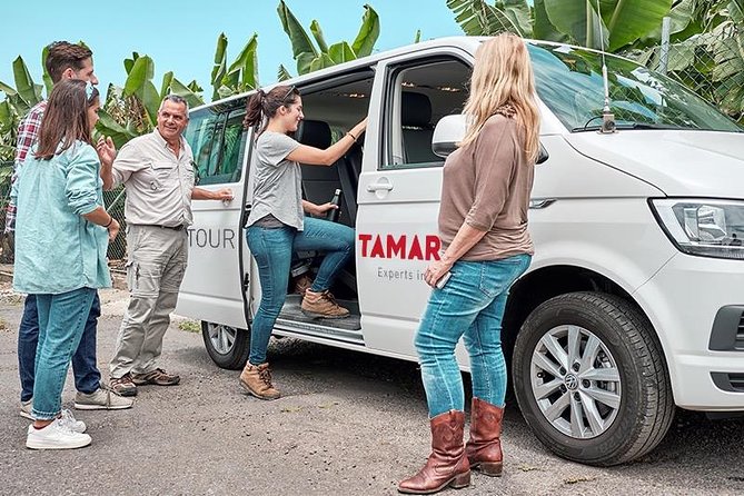 VIP Grand Tour Isla de Tenerife from South Tenerife - Key things to know before you go