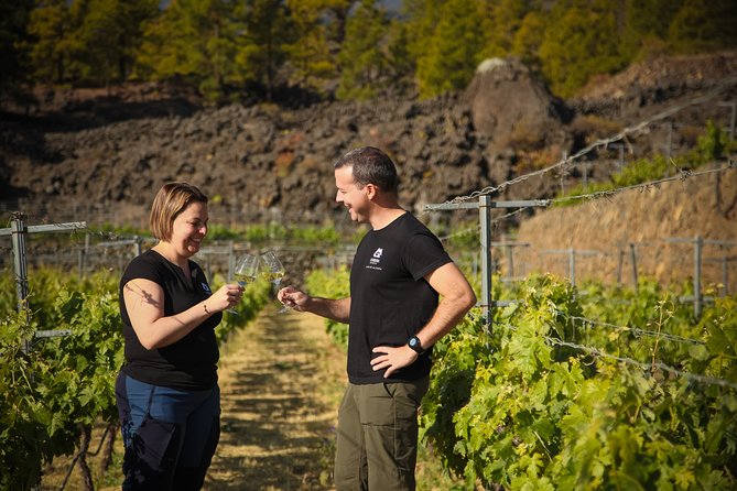 Visit to Arafo Mountain Vineyard and Organic Wine Tasting - Quick highlights you can plan around