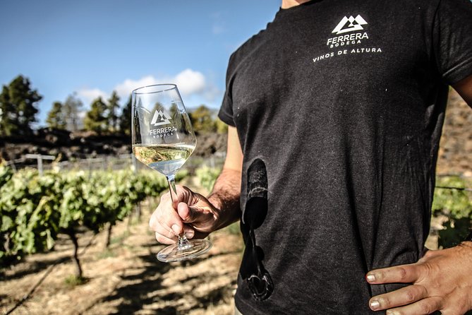 Visit to Arafo Mountain Vineyard and Organic Wine Tasting - Arafo Mountain Vineyard: why this tasting feels different