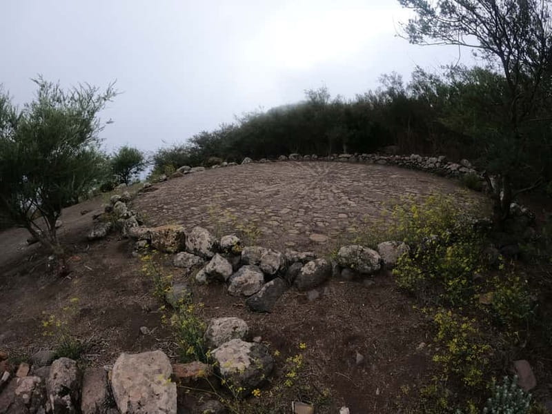 Volcanes, Viñedos y Laurisilva – Santiago del Teide - Key things I’d plan for on this hike