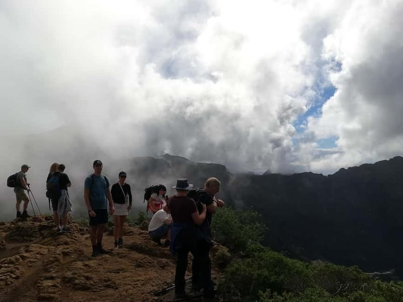 Volcanes, Viñedos y Laurisilva – Santiago del Teide - Price and value: why $56 can make sense for this kind of day