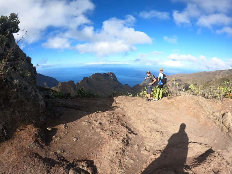 Volcanes, Viñedos y Laurisilva – Santiago del Teide - Vineyards on volcanic soil: the cool contrast you’ll remember