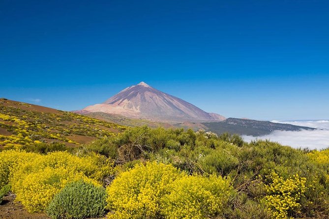 Volcano & Mt Teide Private Tour in Tenerife - Teide National Park: UNESCO trails and volcanic viewpoints in about 3 hours