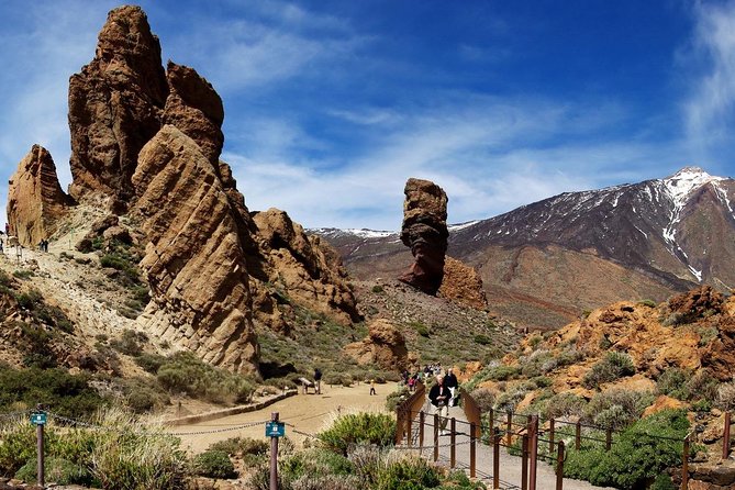 Volcano & Mt Teide Private Tour in Tenerife - Who should book this private Volcano and Mt Teide tour