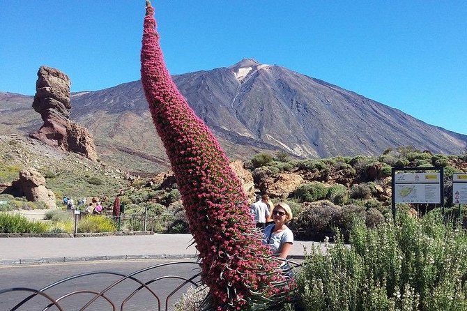 Volcano Teide - Masca ravine. Guided Tour from Puerto de la Cruz - Tenerife - Masca Valley and the Pirates of Tenerife: 1 Hour in a Cliffside Village
