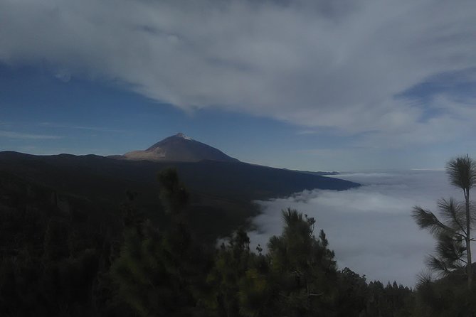 Volcano Teide National Park And North Of The Island VIP TOUR - Key points to know before you go