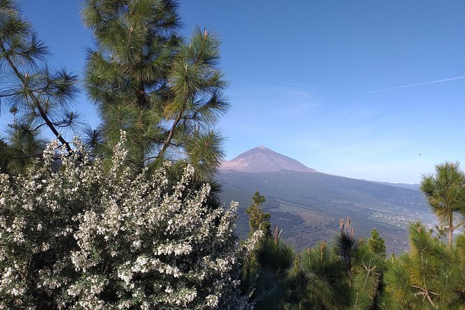 Volcano Teide National Park And North Of The Island VIP TOUR - What to Pack and How the Day Feels in Changing Tenerife Weather