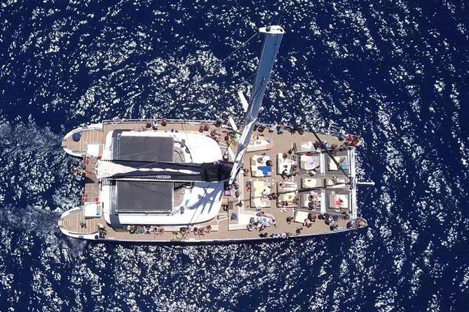 Western Tenerife Cruise with Lunch and Open Bar - Freebird One Cruise Timing, Routes, and What You Actually Get