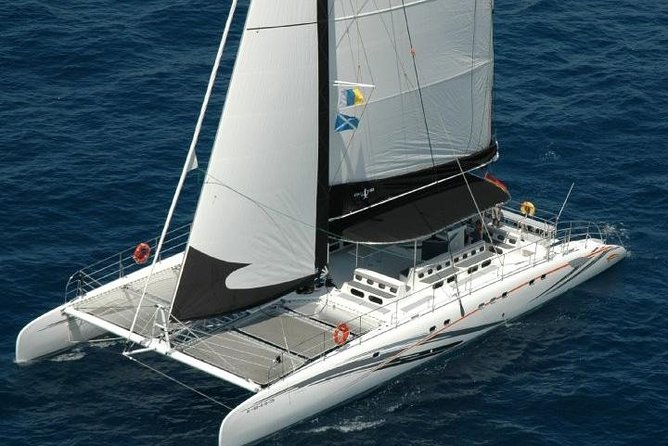 Western Tenerife Cruise with Lunch and Open Bar - Getting to the Marina: Pickup Rules and the Easiest Way to Start