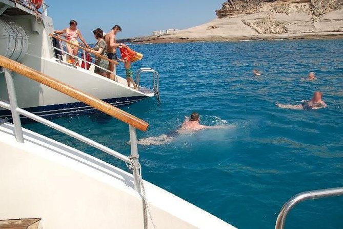 Western Tenerife Cruise with Lunch and Open Bar - Dolphins, Whales, and Seabirds: Wildlife Watching Without the Stress