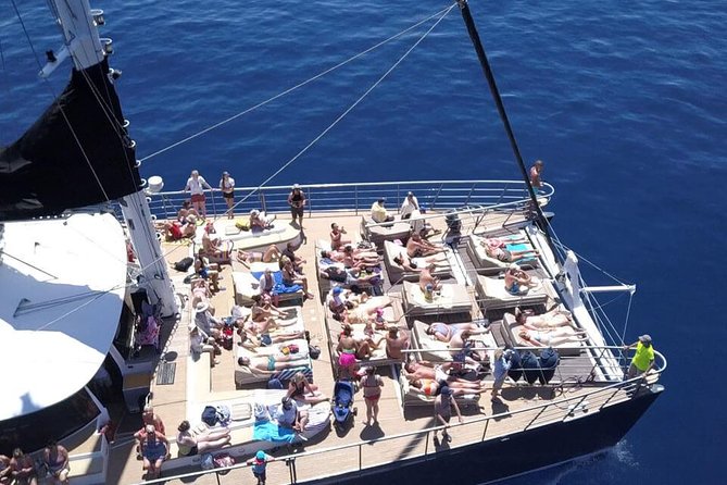 Western Tenerife Cruise with Lunch and Open Bar - Lunch and Food Reality: Chicken Paella, Rice, Meatballs, and Diet Options