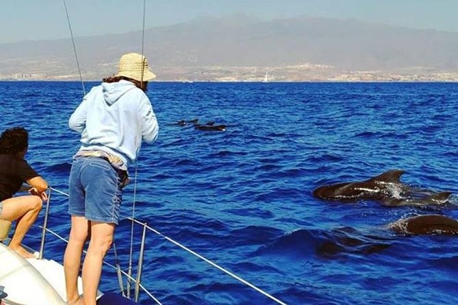 Whale and Dolphin Small Group Sailing from Tenerife South - Boarding at Puerto Colón: The Practical Start in Playa de las Américas