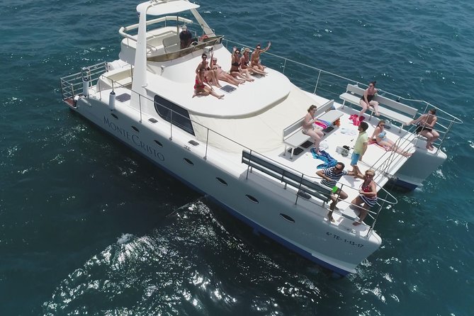 Whale and Dolphin Watching Catamaran with Transfer and Buffet - Key highlights worth planning for