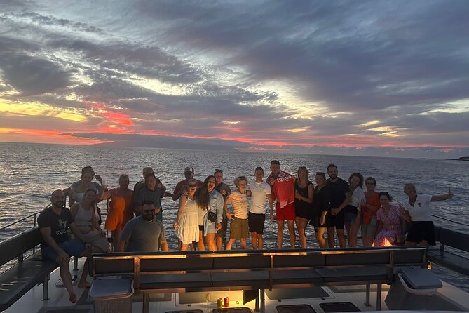 Whale and Dolphin Watching Catamaran with Transfer and Buffet - Your timing: season, booking window, and weather reality
