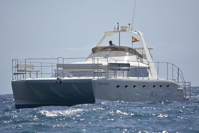 Whale and Dolphin Watching Catamaran with Transfer and Buffet - How the whale and dolphin hunt actually works