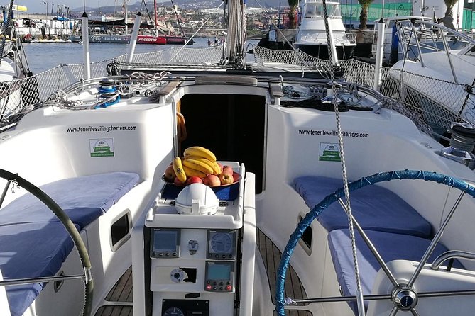 Whale and Dolphin Watching Sailing Boat with Drinks, Snacks and Swimming Time - The captain makes the experience, and the group size is your advantage