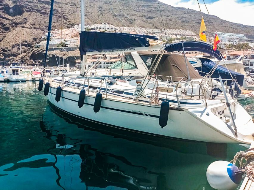 Whale and Dolphin Watching Sailing Tour – Los Gigantes (3H) - Food and photo time: snacks, drinks, and 600-meter views