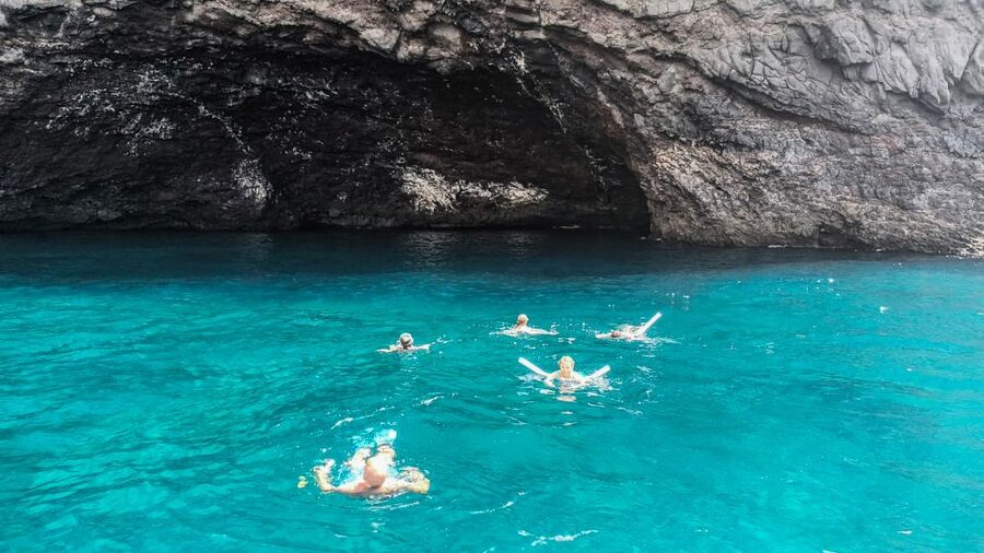 Whale and Dolphin Watching Sailing Tour – Los Gigantes (3H) - Who this suits best, and what to think about first