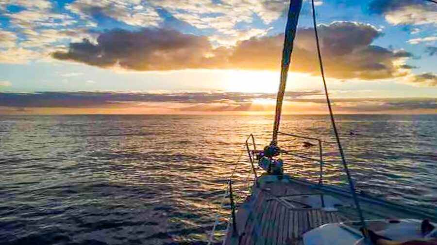 Whale and Dolphin Watching Sailing Tour – Los Gigantes (3H) - Price and value: why this is about more than $76