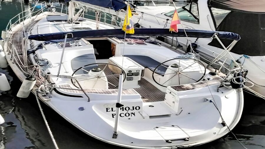 Whale and Dolphin Watching Sailing Tour – Los Gigantes (3H) - Wildlife respect and sustainable sailing habits