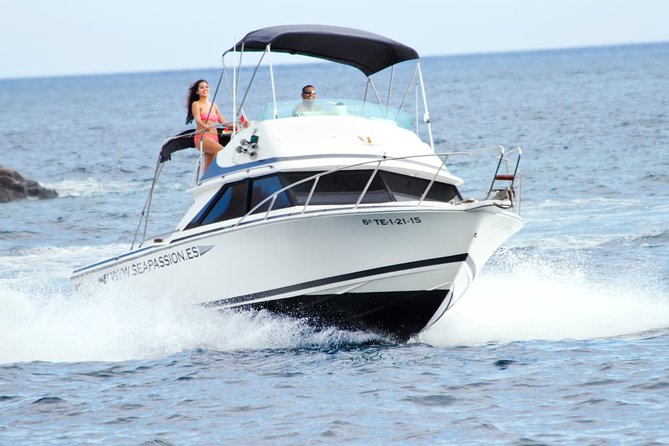 Whale and dolphin watching tour Los Gigantes and Masca in small groups - Key highlights in plain terms