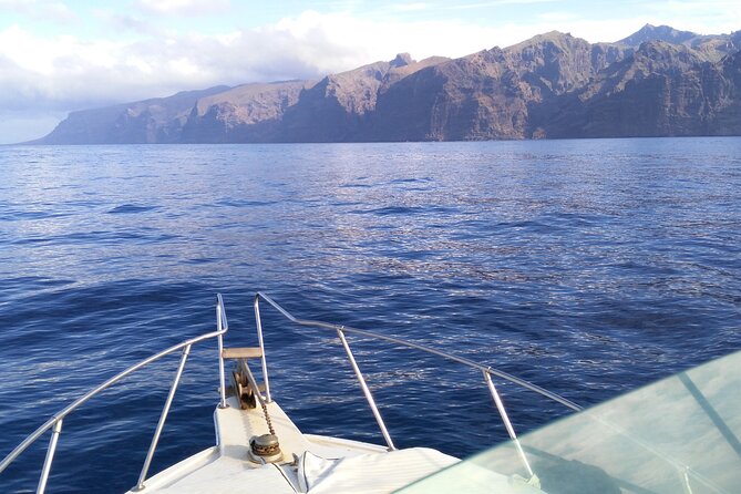 Whale and dolphin watching tour Los Gigantes and Masca in small groups - The science talk: volcanology, meteorology, and cetaceans