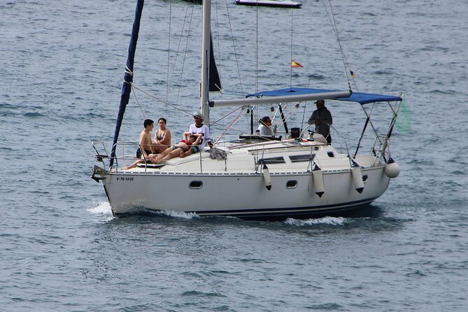 Whale & Dolphin Watching Boat Trip in Tenerife On a Sailing Boat (3 Hr) - Food, snacks, and the open bar at sea