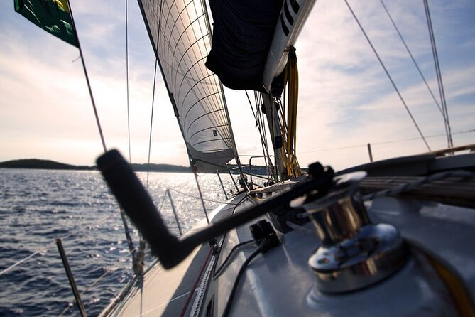Whale & Dolphin Watching Boat Trip in Tenerife On a Sailing Boat (3 Hr) - What the skipper’s information adds (and what to expect)