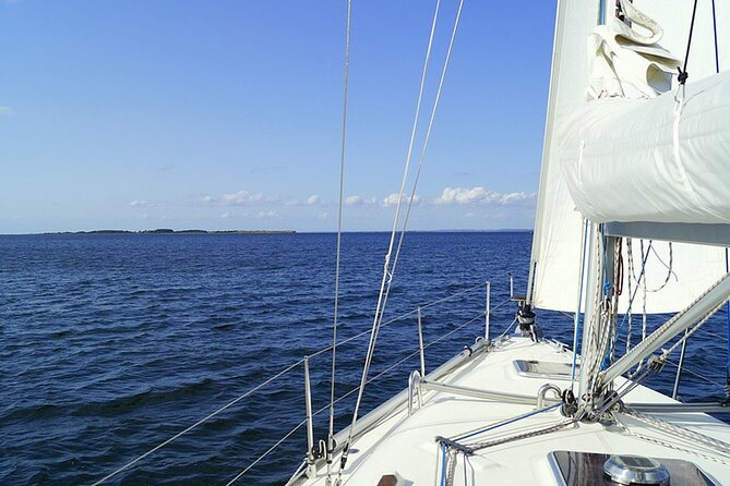 Whale & Dolphin Watching Boat Trip in Tenerife On a Sailing Boat (3 Hr) - Who this boat trip is best for